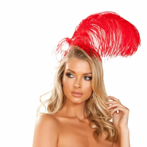 Roma Feather Headband