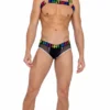 Roma Summer Collection Mens Briefs With Fishnet Panel