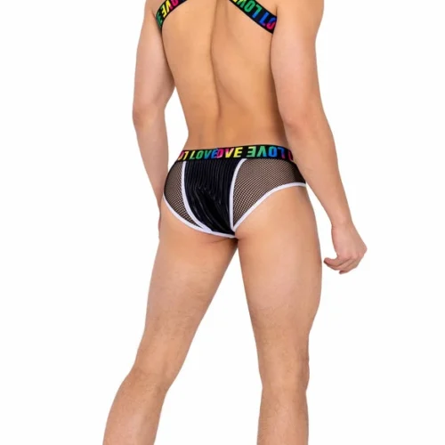 Roma Summer Collection Mens Briefs With Fishnet Panel