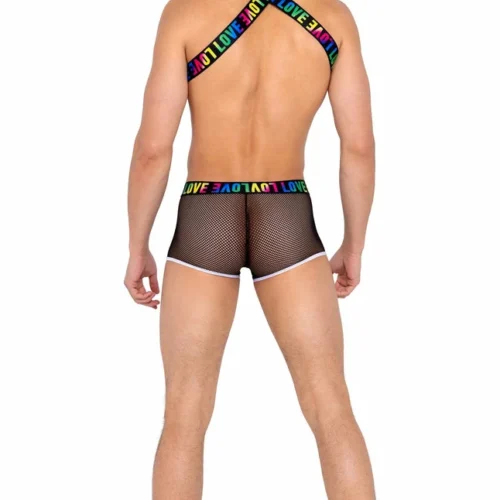Roma Mens Pride Harness With Suspenders Bodysuits