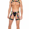 Roma Summer Collection Mens Pride Thong With Attached Garters