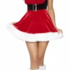 Roma Costumes 1pc Santa's Envy